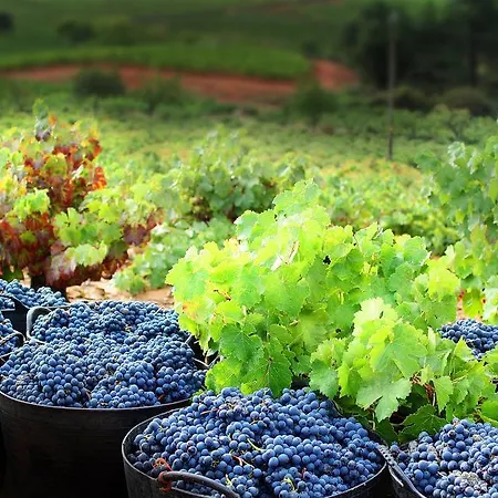 乡村民宿 En Entorno Rural Trobos Villar de Otero