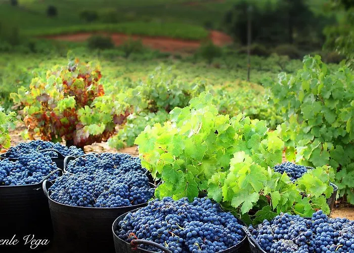 בית כפרי En Entorno Rural Trobos Villar de Otero