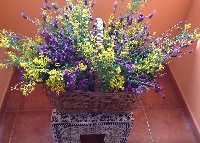 En Entorno Rural Trobos *